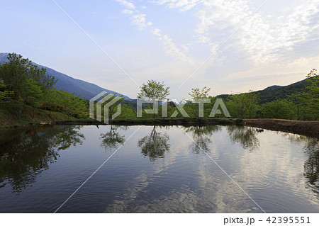 貯水池 通度寺 梁山市 42395551