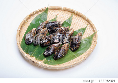 イガイ　食材 42398464