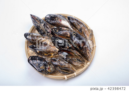 イガイ 食材 イガイ 食材 42398472