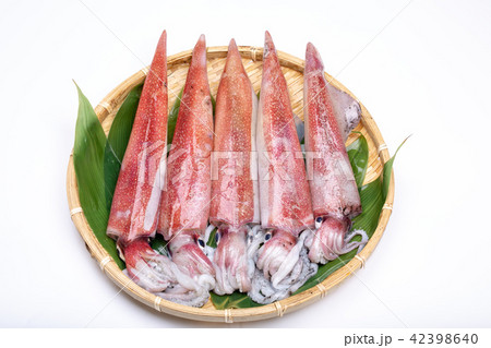 白イカ　食材　 42398640