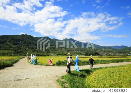 秋 野原 かかし 42398925