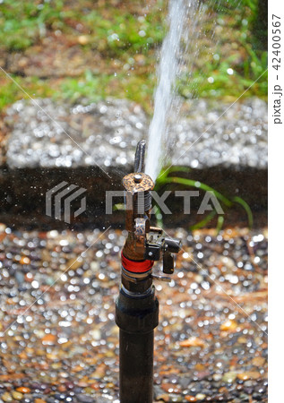 スプリンクラー スプリンクラー 42400567