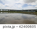 ６月の高速道路ジャンクッションA 42400605