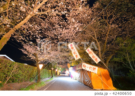 母智丘公園 42400650