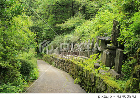 秩父三十四札所水潜寺・参道 42400842