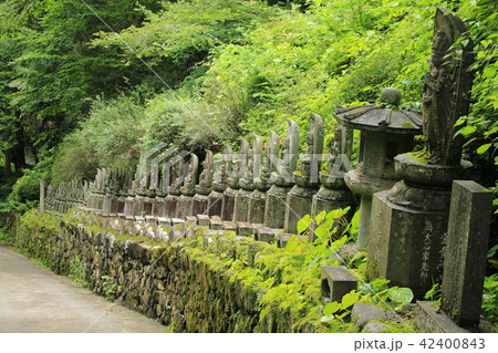 秩父三十四札所水潜寺・三十三観音 秩父三十四札所水潜寺・三十三観音 42400843