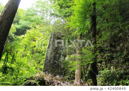 秩父三十四札所水潜寺・水潜りの岩崖 秩父三十四札所水潜寺・水潜りの岩崖 42400849