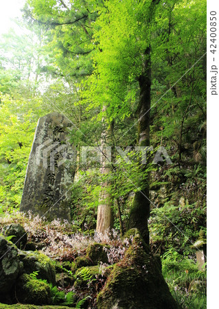 秩父三十四札所水潜寺・水潜りの岩崖 秩父三十四札所水潜寺・水潜りの岩崖 42400850