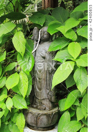 秩父三十四札所水潜寺・水かけ地蔵 秩父三十四札所水潜寺・水かけ地蔵 42400855
