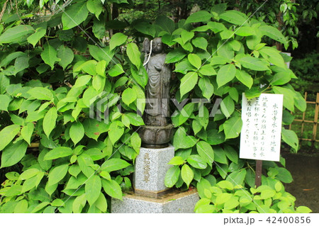 秩父三十四札所水潜寺・水かけ地蔵 秩父三十四札所水潜寺・水かけ地蔵 42400856