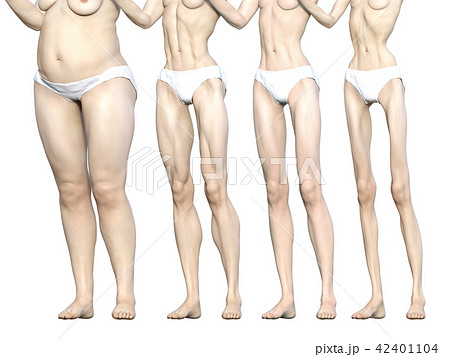 女性の下半身 いろいろな体型 比較 Perming リアル３dcgイラスト素材の