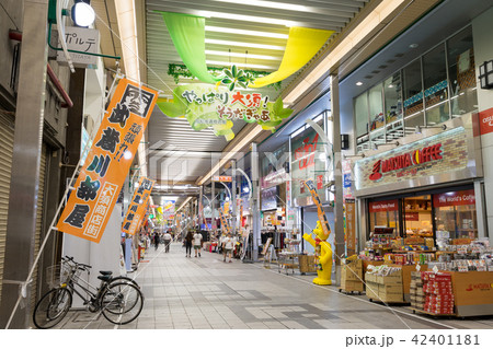 名古屋市中区 大須商店街 万松寺通 街並 名古屋市中区 大須商店街 万松寺通 街並 42401181