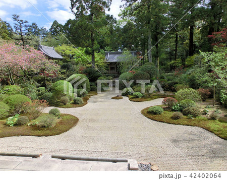 龍潭寺（りょうたんじ）庭園 42402064