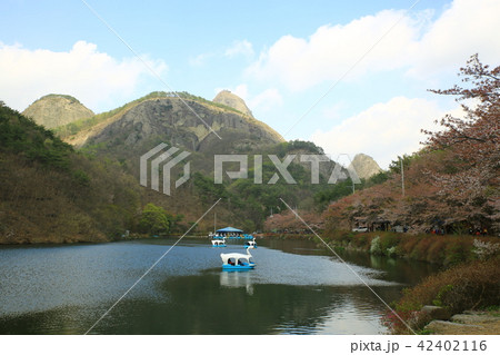 湖 貯水池 春 42402116