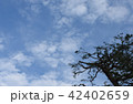 青空 42402659
