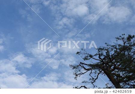青空 青空 42402659