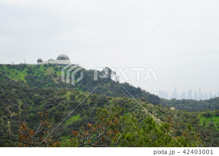 グリフィス天文台 グリフィス天文台 42403001