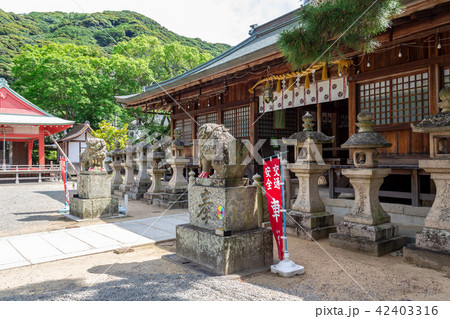 洲本八幡神社 本殿 洲本八幡神社 本殿 42403316