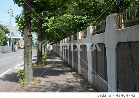 昭和町の歩道の景色 42404742