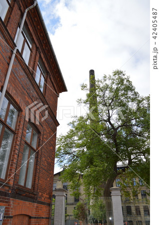 Denmark, Frederiksberg, Royal Copenhagen factory 42405487