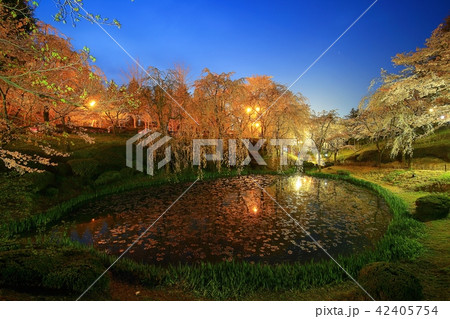 普門チョン レース 慶北 42405754