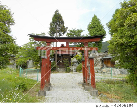 白鬚神社 飯能市 白鬚神社 飯能市 42406194