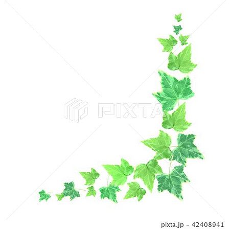 ヘデラのイラスト素材