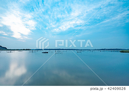 印旛沼　千葉　 42409026