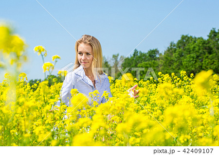 Woman in a meadow in yellow flowers Woman in a meadow in yellow flowers 42409107
