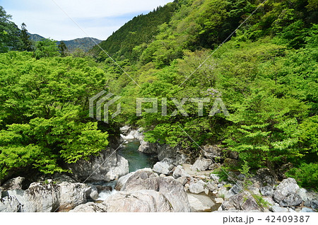 高知県仁淀川町 仁淀川支流岩屋渓谷の新緑 高知県仁淀川町 仁淀川支流岩屋渓谷の新緑 42409387