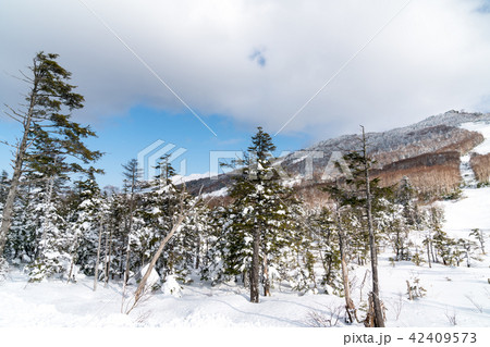 風景物語 風景物語 42409573