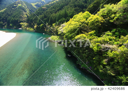 高知県越知町 仁淀川中流域の清冽な流れ 高知県越知町 仁淀川中流域の清冽な流れ 42409686