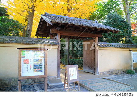 大田黒公園の紅葉 42410405
