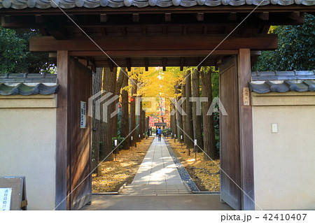 大田黒公園の紅葉 大田黒公園の紅葉 42410407