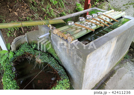 安良神社の手水舎 安良神社の手水舎 42411236