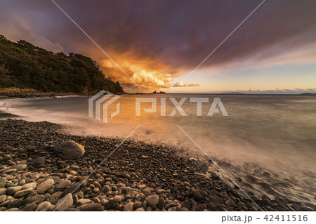 真鶴半島 番場浦海岸の夕暮れ 真鶴半島 番場浦海岸の夕暮れ 42411516