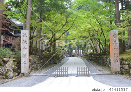 永平寺の門(福井県吉田郡永平寺町志比5-15) 永平寺の門(福井県吉田郡永平寺町志比5-15) 42411557