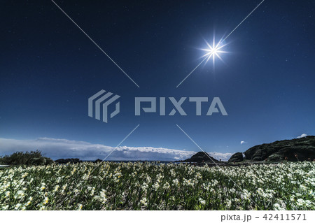 爪木崎公園の夜景 42411571