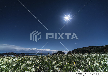 爪木崎公園の夜景 42411572