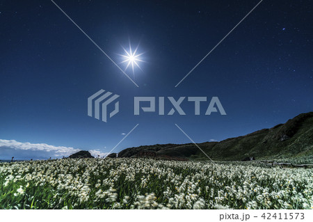 爪木崎公園の夜景 42411573