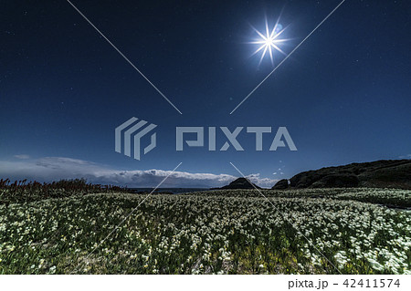 爪木崎公園の夜景 爪木崎公園の夜景 42411574