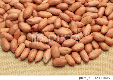 落花生 薄皮付き 落花生 薄皮付き 42411685