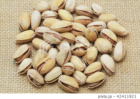 ピスタチオ ピスタチオ 42411921