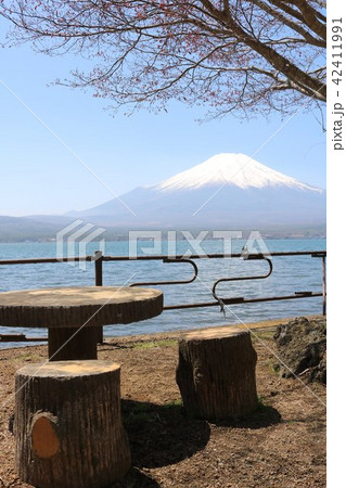 富士山とさくら 42411991