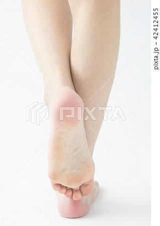 女性 足 女性 足 42412455
