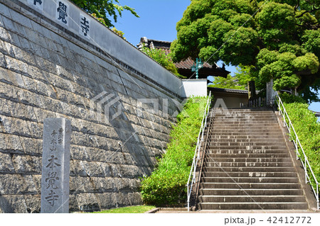 横浜・本覚寺 横浜・本覚寺 42412772