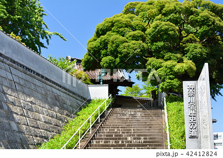 横浜・本覚寺 42412824