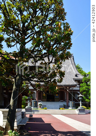 横浜・本覚寺 42412903