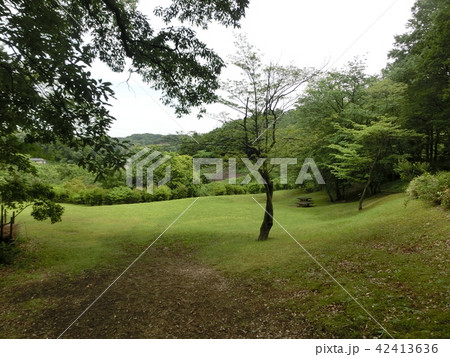 小山田緑地・石畳の道途中の休憩広場（東京都町田市） 42413636