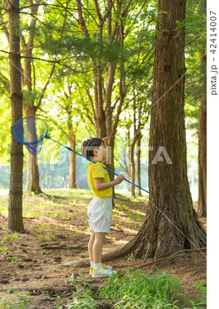 韓国人 子供 夏 42414007